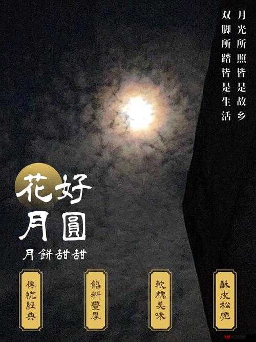 夏晴子中秋大作战活动方案：月圆之夜的惊喜与挑战